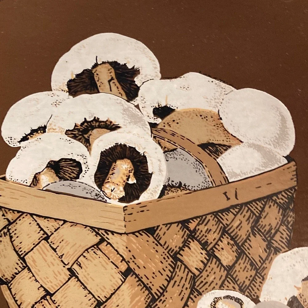 Vintage 1970s Brown Mushroom Basket Melamine‎ Vinyl Placemats Set of 6 Retro